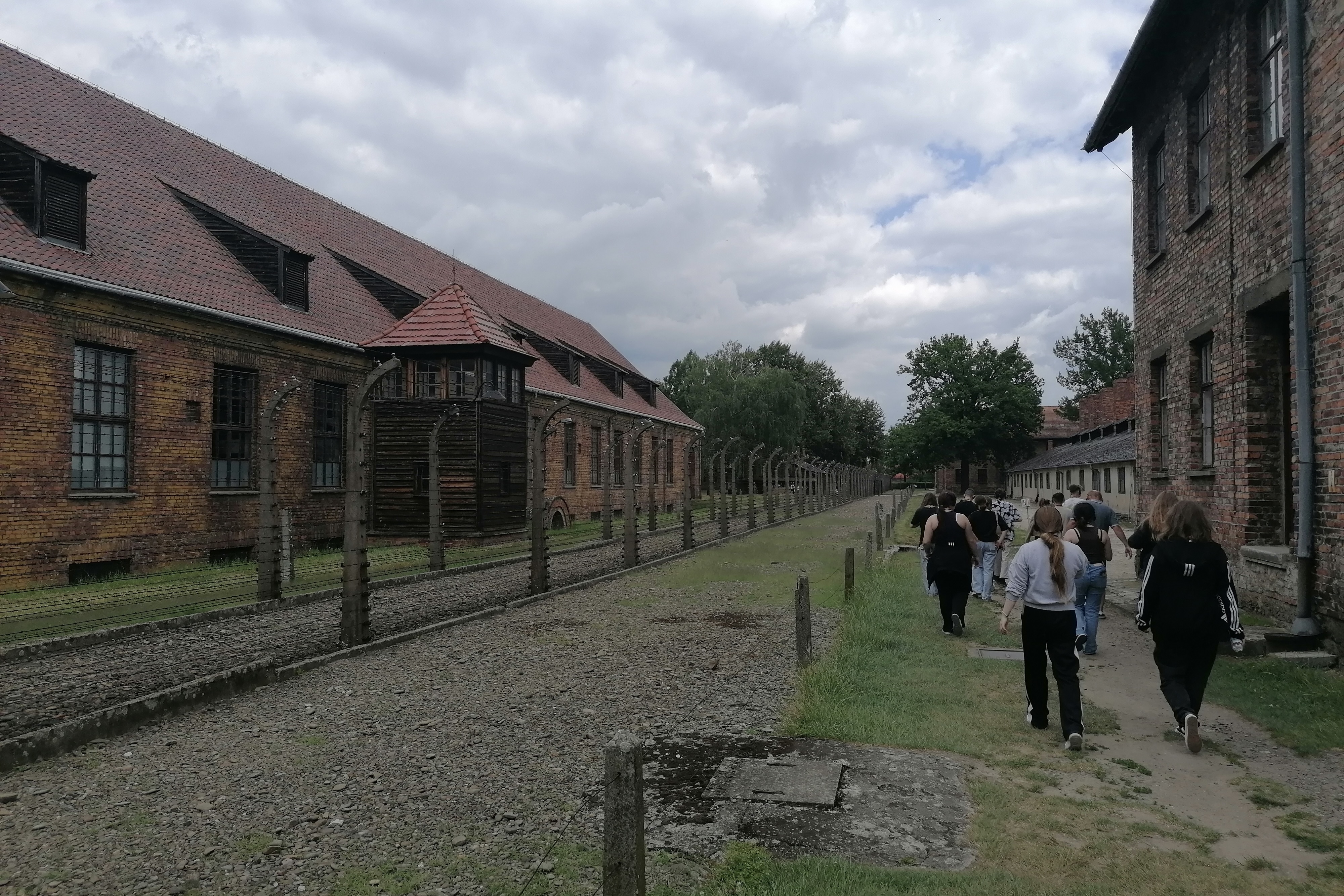 Eine Gruppe, von hinten zu sehen, läuft über ein düsteres Gelände. Neben ihr Stacheldrahtzaun.